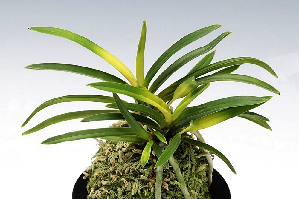 1902df56d1277737727ccbdac056e459_1761685681_5448.jpg 1902df56d1277737727ccbdac056e459_1761685681_5448.jpg