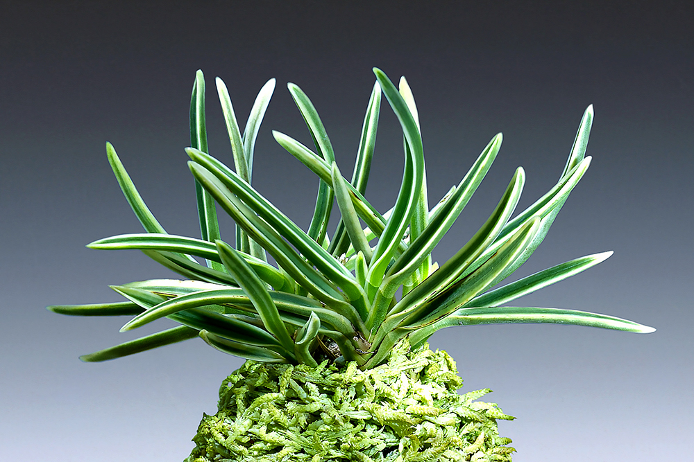 d39087bdb7b491f9797ecdd98e9589e3_1761301107_0863.jpg d39087bdb7b491f9797ecdd98e9589e3_1761301107_0863.jpg