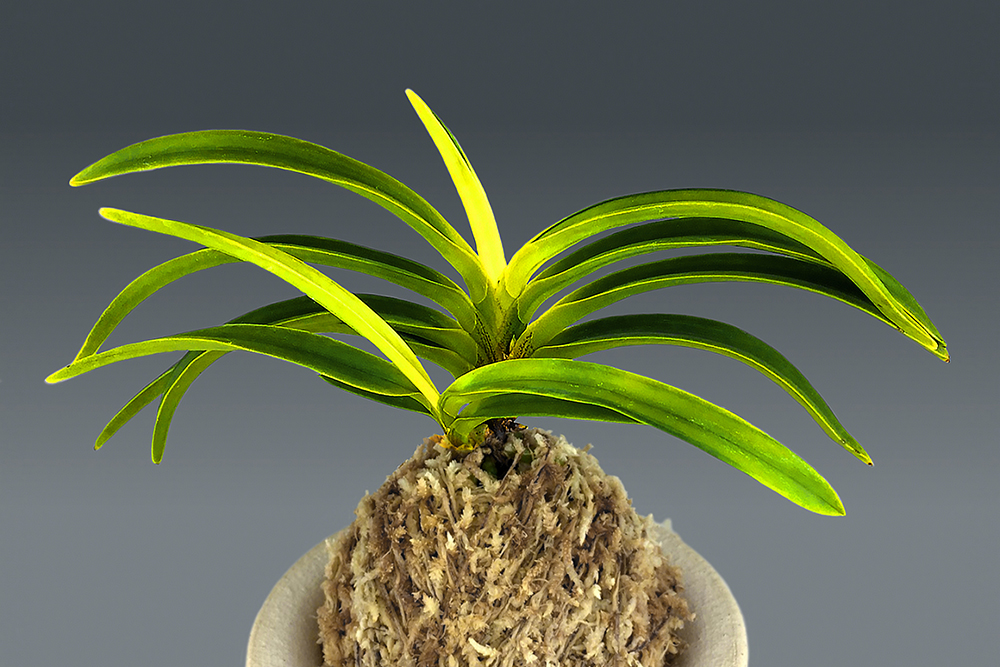 093e7a4d03775f53706194c43677e2af_1762061507_5095.jpg 093e7a4d03775f53706194c43677e2af_1762061507_5095.jpg