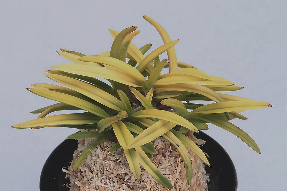 14c3152193ef6eac3851f1becbf60109_1762114955_6804.jpg 14c3152193ef6eac3851f1becbf60109_1762114955_6804.jpg