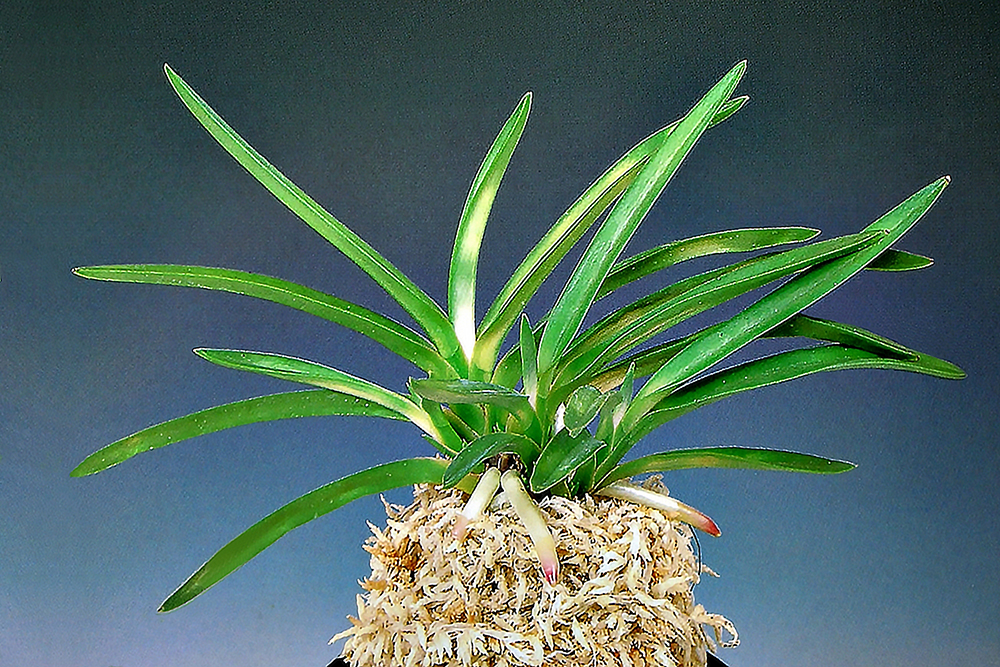 1c871ecb36abd4e29242990102bb455f_1761977350_436.jpg 1c871ecb36abd4e29242990102bb455f_1761977350_436.jpg