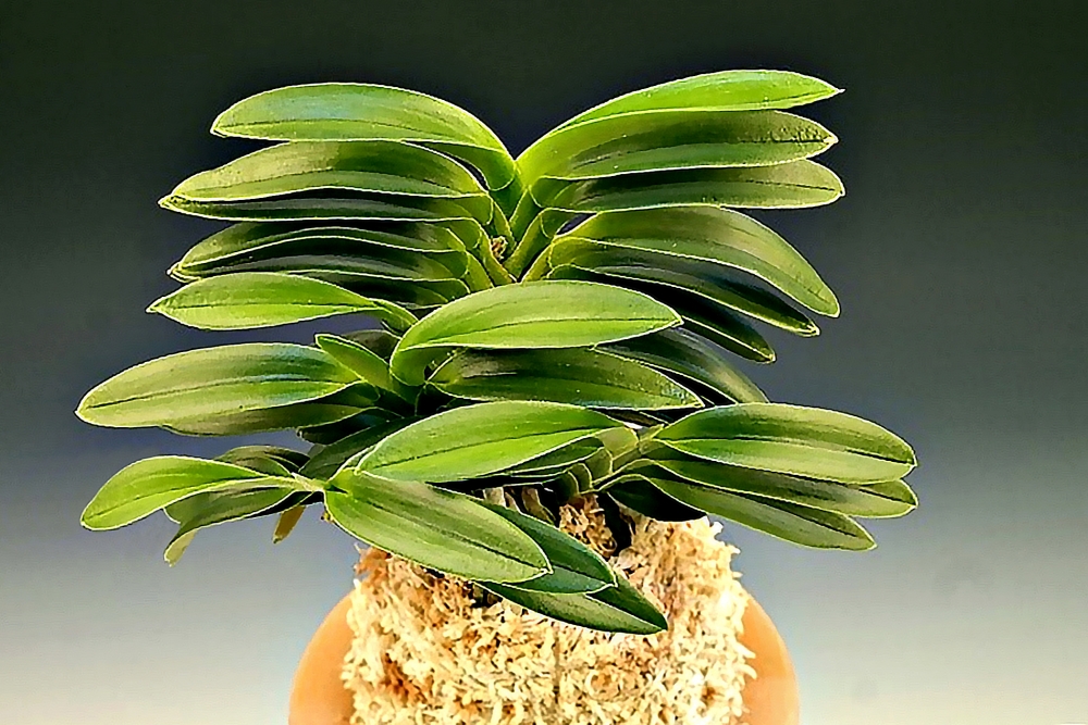 2eee25dcd1ffbbad2bf476a62e764784_1762418547_4824.jpg 2eee25dcd1ffbbad2bf476a62e764784_1762418547_4824.jpg