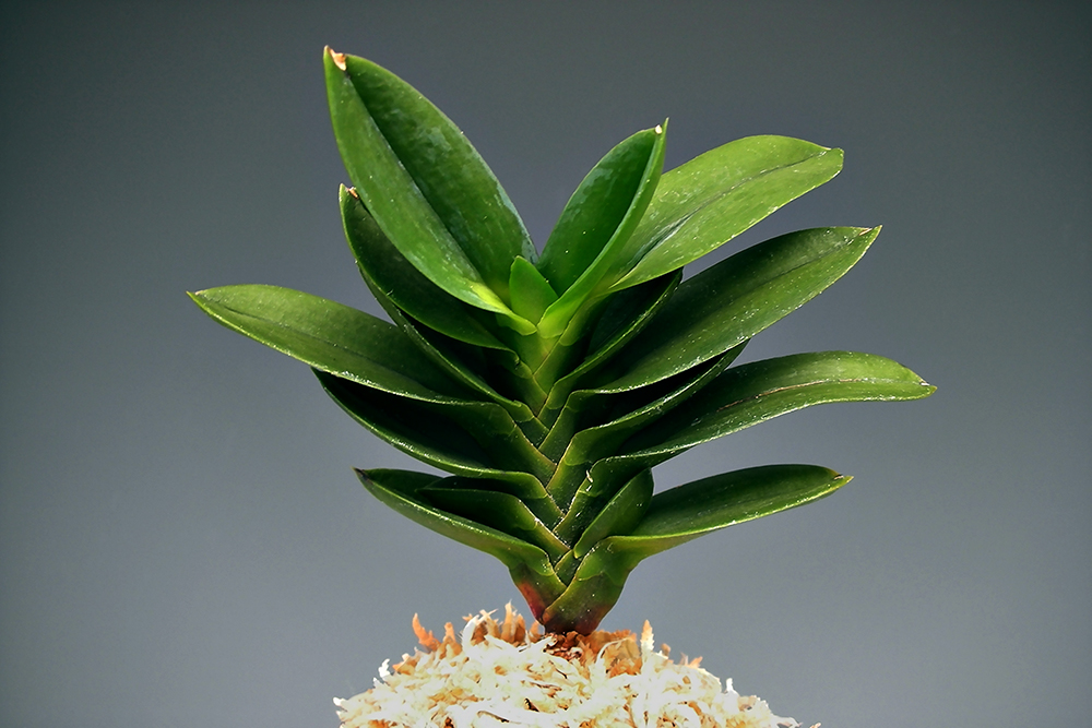 2eee25dcd1ffbbad2bf476a62e764784_1762418733_2379.jpg 2eee25dcd1ffbbad2bf476a62e764784_1762418733_2379.jpg