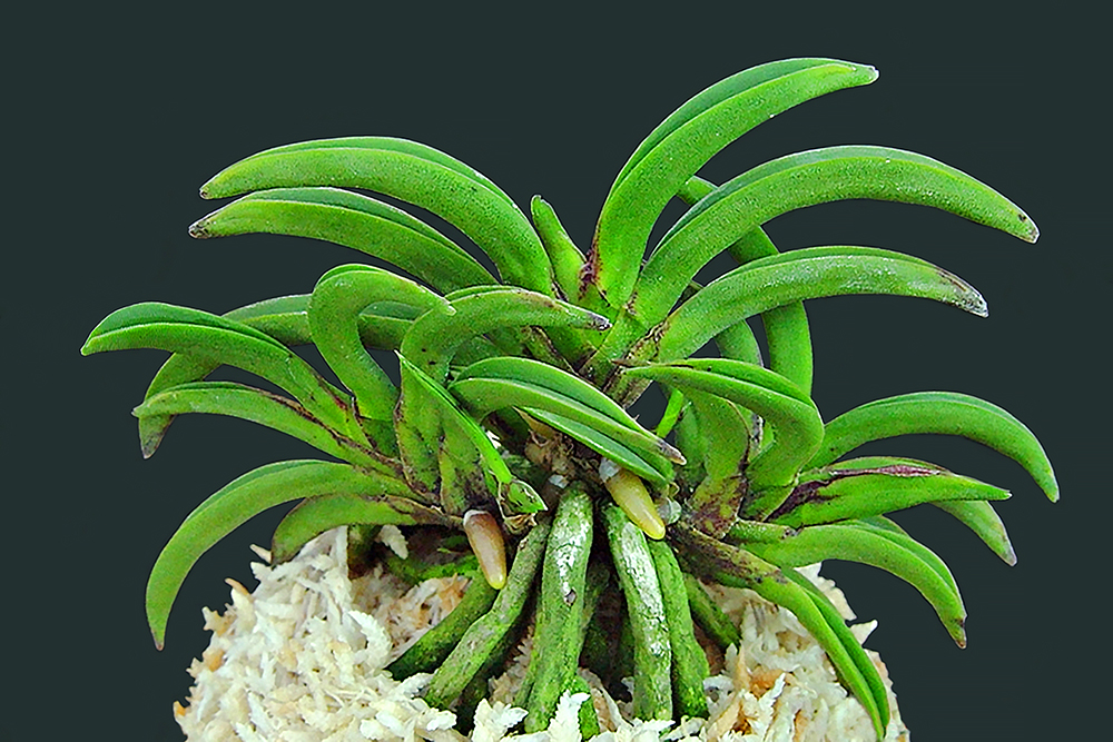 3c6f175ede5aac937631e2f55d676cce_1762985487_7771.jpg 3c6f175ede5aac937631e2f55d676cce_1762985487_7771.jpg