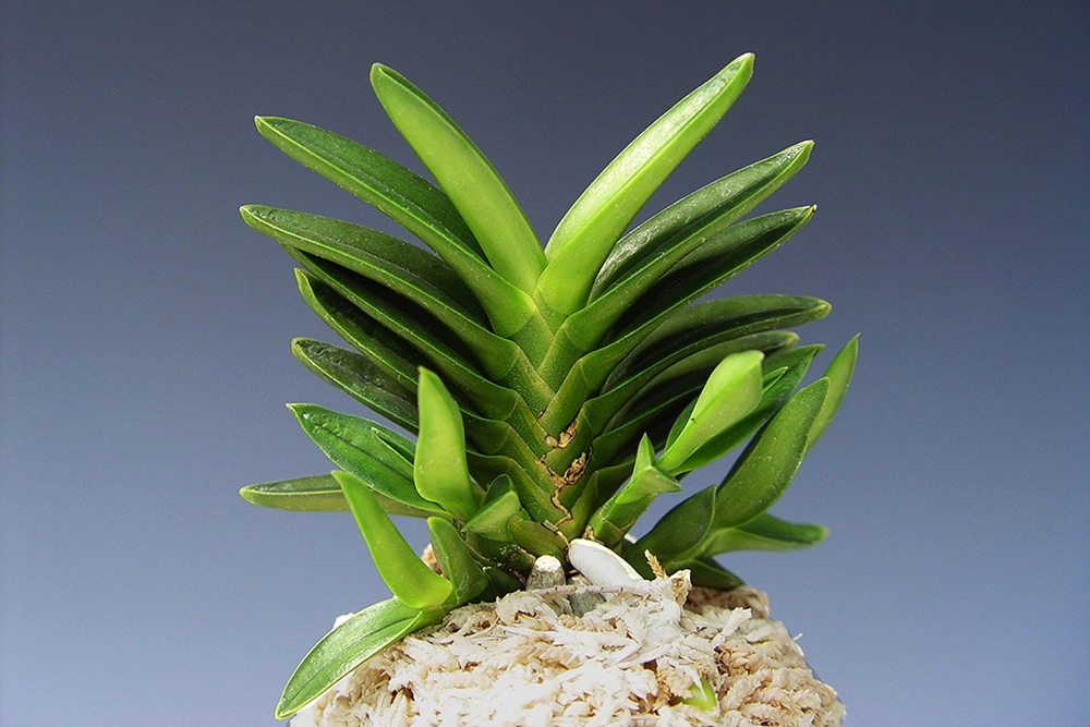 50c658397b8a7ddc22c56b8fbe211c13_1762491484_4951.jpg 50c658397b8a7ddc22c56b8fbe211c13_1762491484_4951.jpg