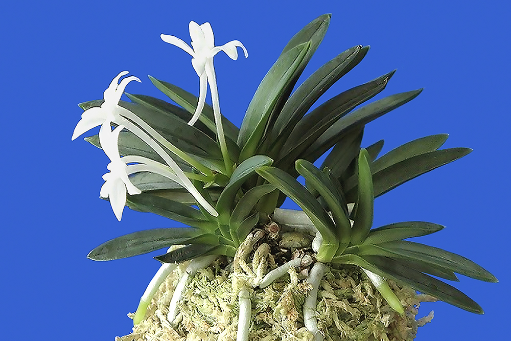 5d2e3685b98c6aa0585be043e5429327_1762643547_681.jpg 5d2e3685b98c6aa0585be043e5429327_1762643547_681.jpg