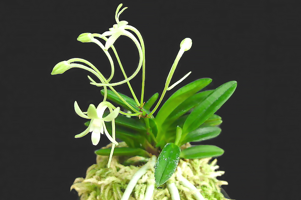 5f1fbc3926564745274bb8928deddebb_1764372639_8806.jpg 5f1fbc3926564745274bb8928deddebb_1764372639_8806.jpg