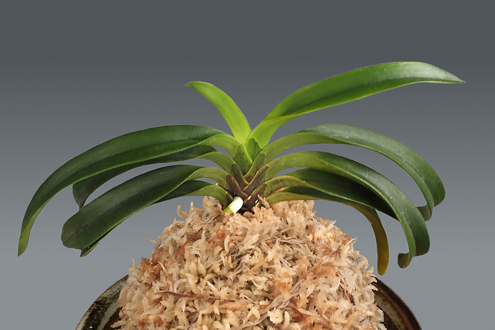 8a03b0f085620587378127a2d96e5996_1762663479_9259.jpg 8a03b0f085620587378127a2d96e5996_1762663479_9259.jpg