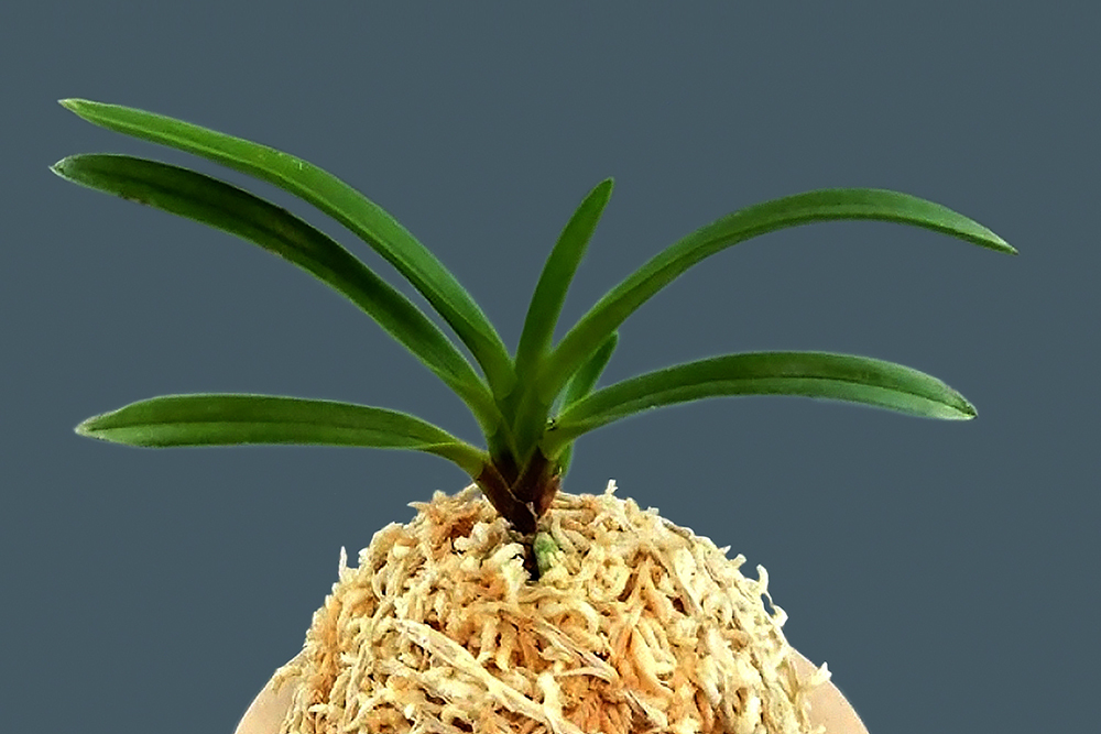 990b901f1773ec26989febdcd617a5cd_1762287829_7921.jpg 990b901f1773ec26989febdcd617a5cd_1762287829_7921.jpg