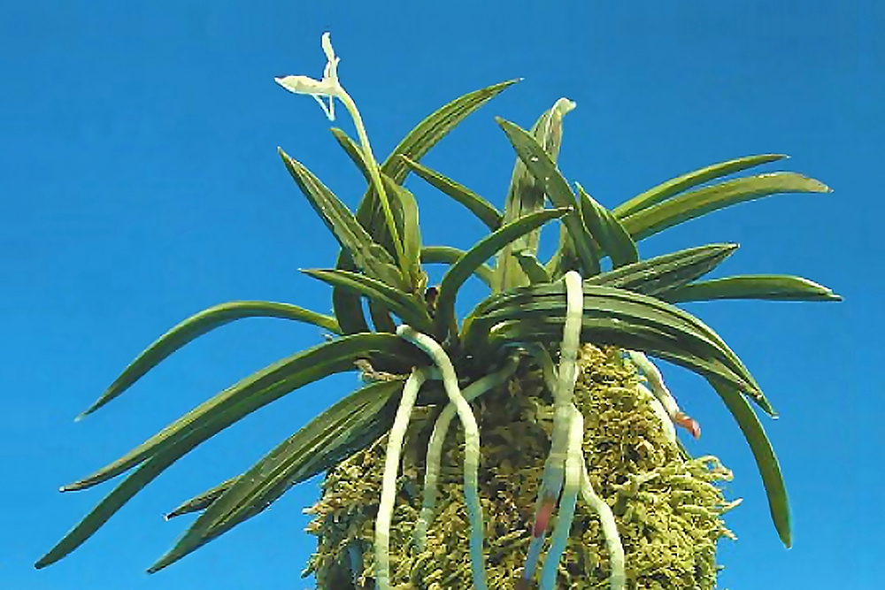 a93a2021bc73cb8891f526c548bca603_1763154781_2404.jpg a93a2021bc73cb8891f526c548bca603_1763154781_2404.jpg