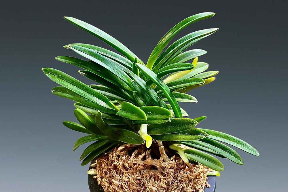 ab9ece3652ceefa607bc9bd0f4e1c29b_1763093925_7328.jpg ab9ece3652ceefa607bc9bd0f4e1c29b_1763093925_7328.jpg