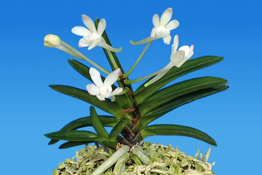 b522d0ed9fd1d0a1185c556b825bd3e4_1763096033_8891.jpg b522d0ed9fd1d0a1185c556b825bd3e4_1763096033_8891.jpg