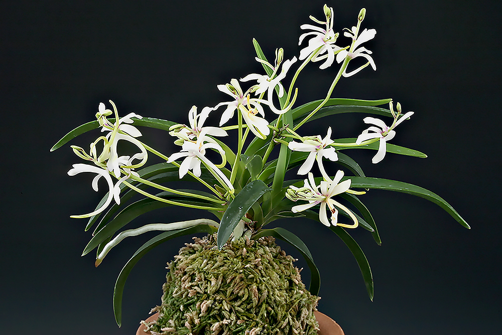 c0685342fea28712ec3e1d584c8a4561_1763411930_7971.jpg c0685342fea28712ec3e1d584c8a4561_1763411930_7971.jpg