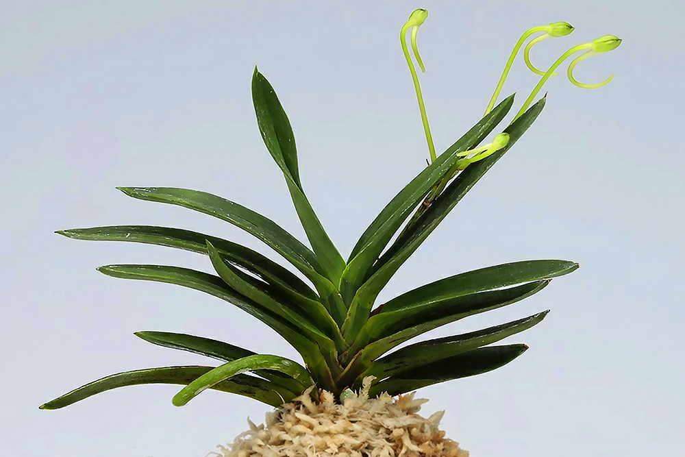 c965eb4e37dd11750380e43b8ebea6fd_1762766895_4429.jpg c965eb4e37dd11750380e43b8ebea6fd_1762766895_4429.jpg