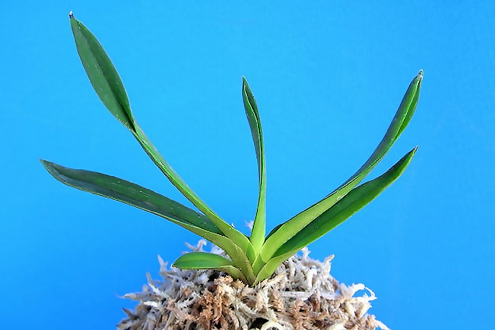 d54e0791fe08476f7c8c31b5e4cc460f_1762852509_4257.jpg d54e0791fe08476f7c8c31b5e4cc460f_1762852509_4257.jpg