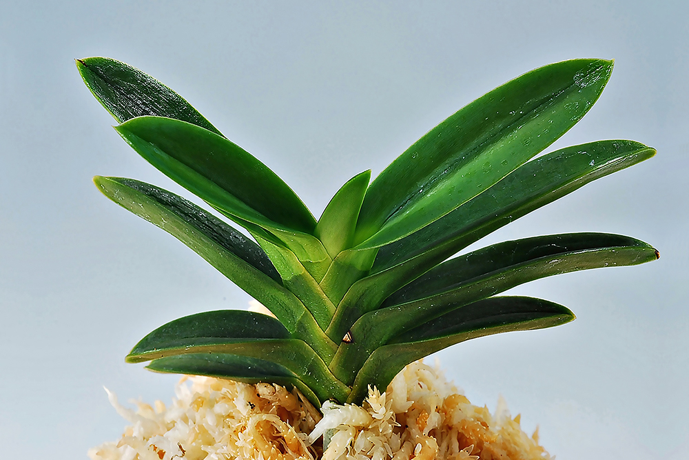 ea5c86caf0a4204e21ea493535d94e2b_1762548057_9204.jpg ea5c86caf0a4204e21ea493535d94e2b_1762548057_9204.jpg