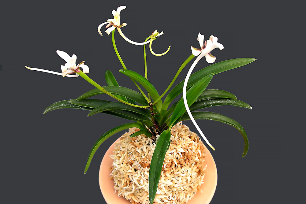 f917429ea0fbc4f6af6a41ae499f3faa_1763376730_8097.jpg f917429ea0fbc4f6af6a41ae499f3faa_1763376730_8097.jpg