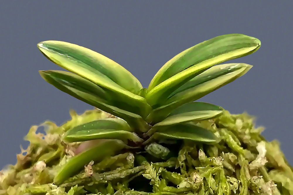 2ad5595b10b4aeae23f0dfc9a85aaab3_1765339068_688.jpg 2ad5595b10b4aeae23f0dfc9a85aaab3_1765339068_688.jpg