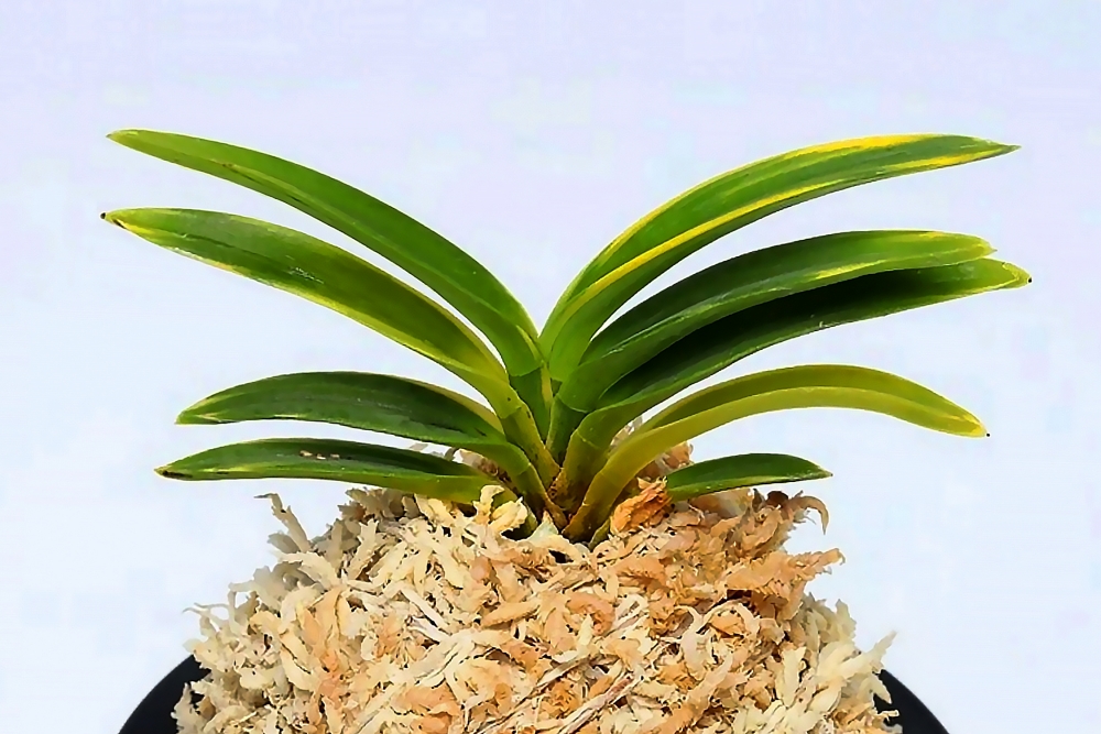 6e4f85afb41f998dcb0fb2c613a7e986_1765271669_164.jpg 6e4f85afb41f998dcb0fb2c613a7e986_1765271669_164.jpg