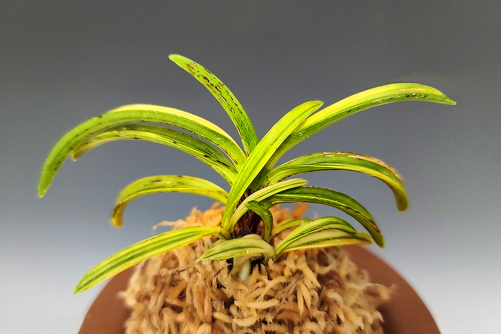 c6845fc07bd9644046831dcfd9c58752_1765187719_831.jpg c6845fc07bd9644046831dcfd9c58752_1765187719_831.jpg