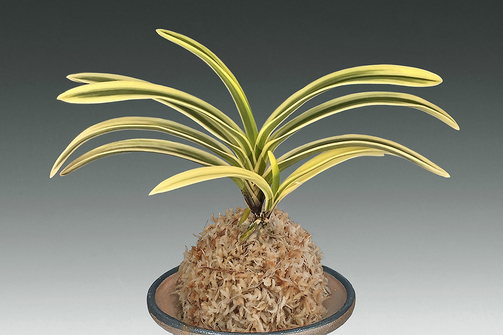 d6e8fb3d2c9afa34860e9410b32dddf6_1764755897_3095.jpg d6e8fb3d2c9afa34860e9410b32dddf6_1764755897_3095.jpg