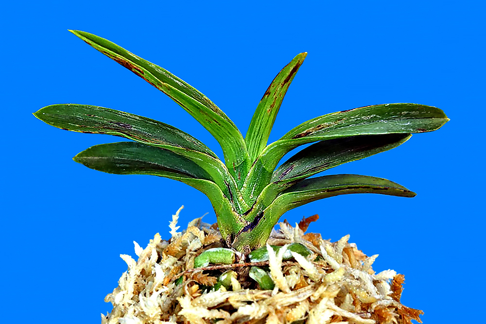 08909203202929393649b0ac17380b56_1771375707_7505.jpg 08909203202929393649b0ac17380b56_1771375707_7505.jpg