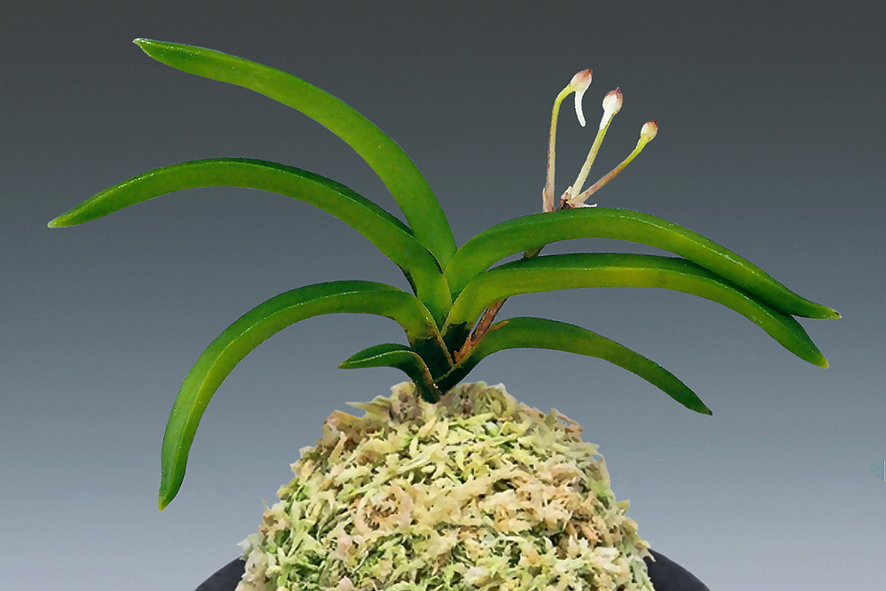 4d3662e3e73119aeaf6f458ba39b998c_1772014303_828.jpg 4d3662e3e73119aeaf6f458ba39b998c_1772014303_828.jpg