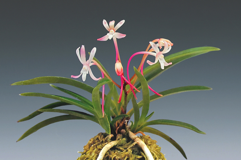 b84d822620e83ad850fe410e82bb5c07_1771841356_0441.jpg b84d822620e83ad850fe410e82bb5c07_1771841356_0441.jpg