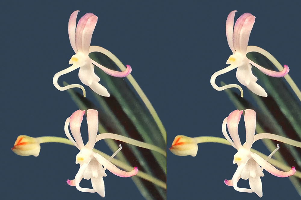 dad2b82bfd68a67839dc5599705603e9_1771206246_5409.jpg dad2b82bfd68a67839dc5599705603e9_1771206246_5409.jpg