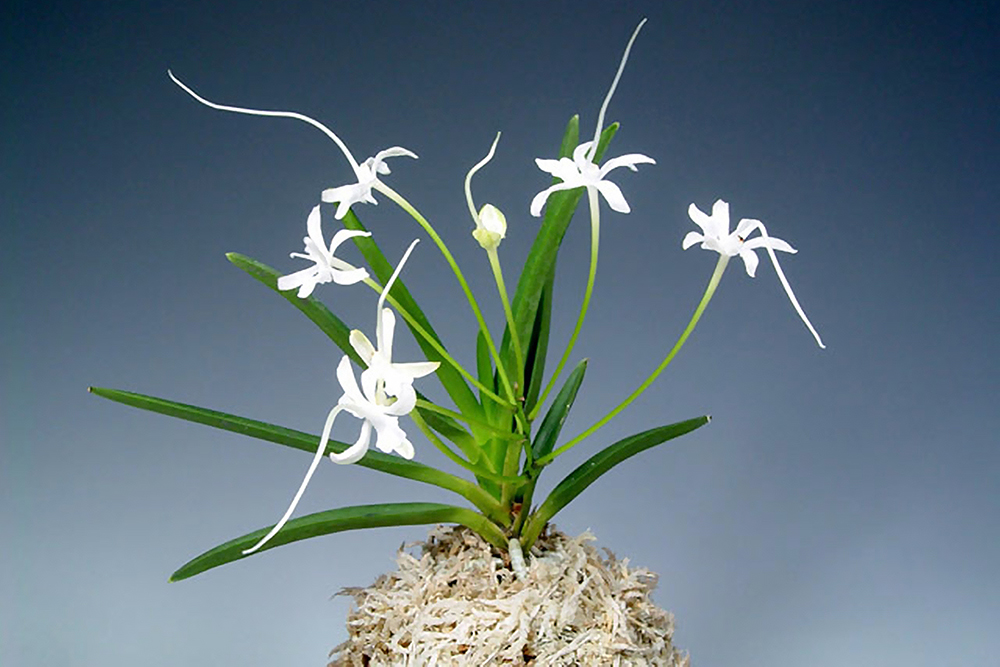 e31ed1e9bf3991a6f5f6a55b1242b58a_1771104593_1828.jpg e31ed1e9bf3991a6f5f6a55b1242b58a_1771104593_1828.jpg