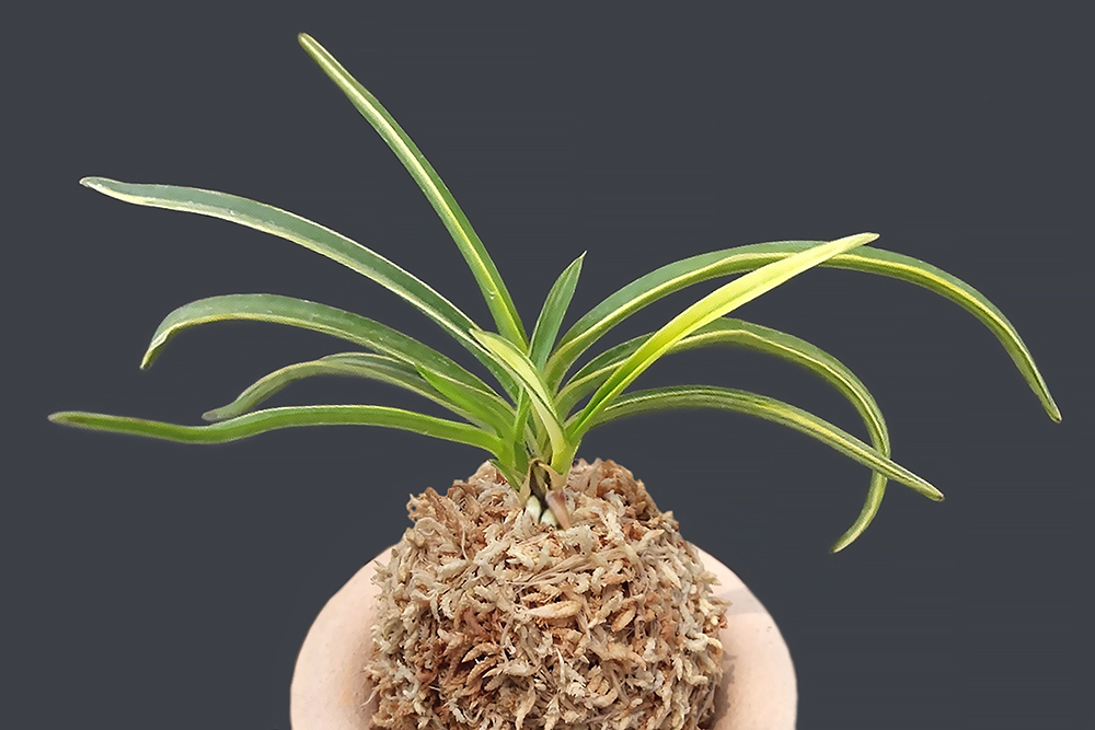 f05951bfa0b3123c976a9a5b6569f574_1771755476_9349.jpg f05951bfa0b3123c976a9a5b6569f574_1771755476_9349.jpg