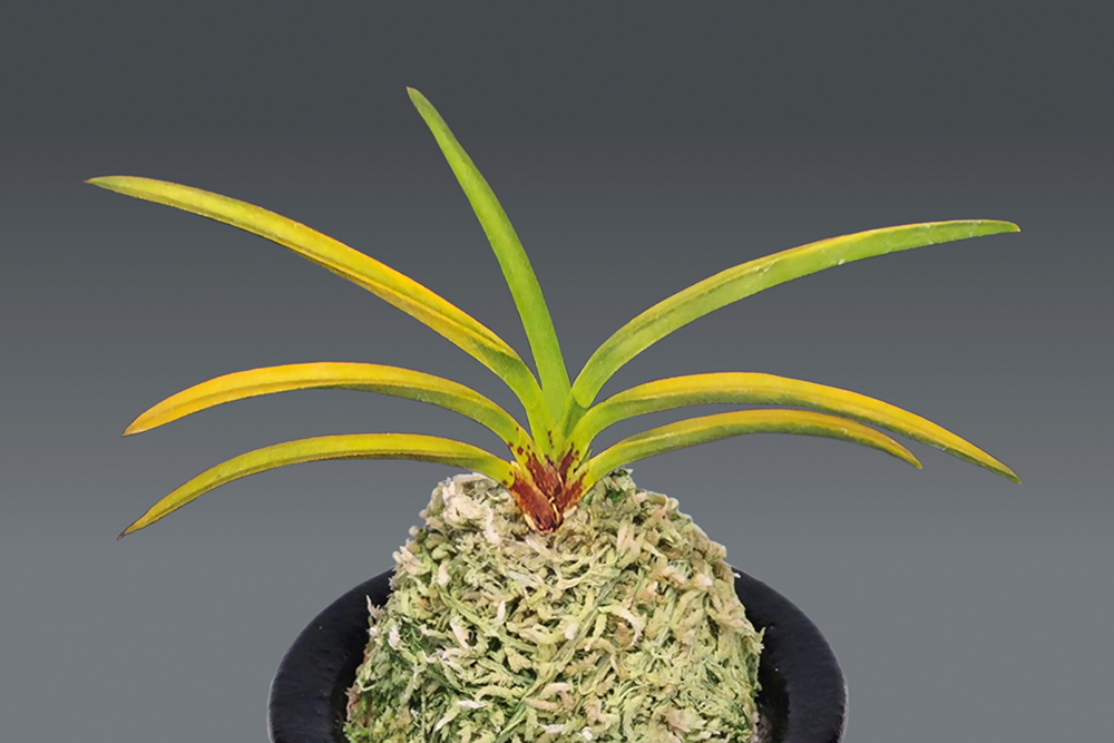 ff5283fd962d26a8253e7fecc0ce8592_1770783838_2845.jpg ff5283fd962d26a8253e7fecc0ce8592_1770783838_2845.jpg